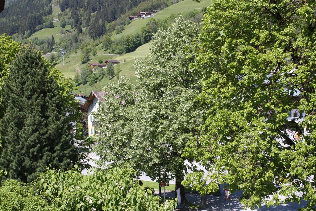 Апартаменты Haus Hofer Брамберг-ам-Вильдкогель Номер фото